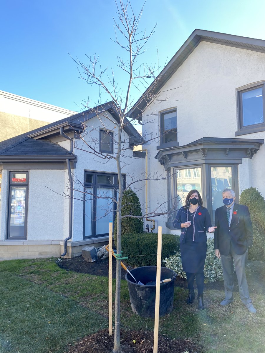 MayorRobBurton's tweet photo. Today was a perfect (and sunny) day to plant an Oak tree in downtown Oakville! Special thanks to @georgeniblock, @StefaniKonidis and the team at Royal Lepage Oakville for working with @townofoakville to enhance our downtown streetscape #Oakville https://t.co/oA8cToEQy8