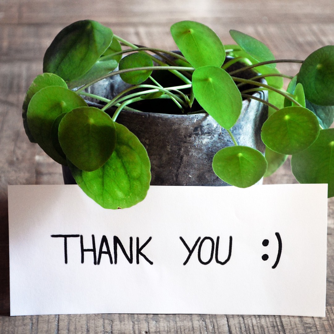 We love hearing feedback from local professionals. A colleague from education states: The service offered to families is absolutely invaluable. The support is flexible and wide ranging and often helps to fill in some of the gaps in support that other services don't cover.