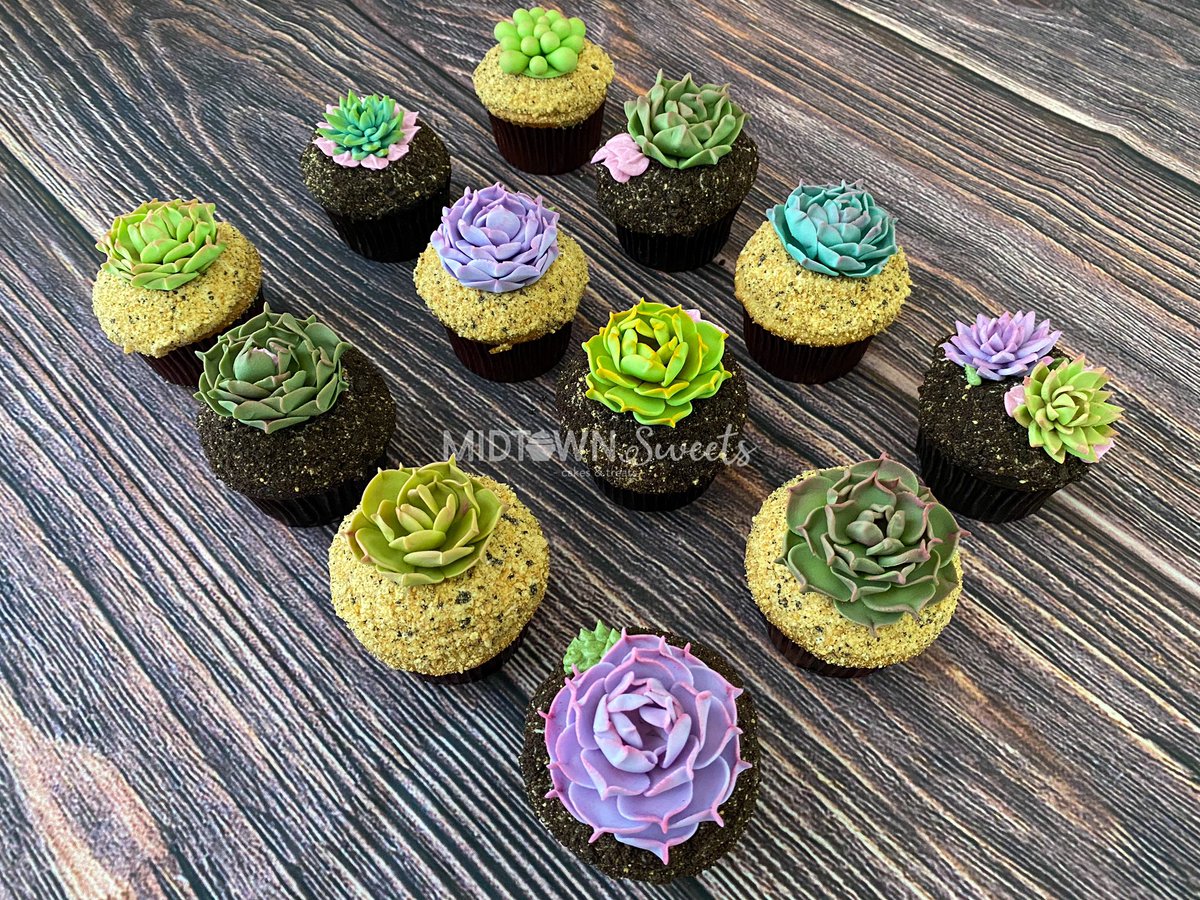 MidtownSweets's tweet photo. Succulent Cupcakes

#succulents #succulentcupcakes #succulentcake #plants #succulent #baking #cake #cakecakecake #chocolate #chocolatecake #cakecups #midtownsweets #bake #dessert #frosting #buttercream #cakedesign https://t.co/YvCu6CLPBc