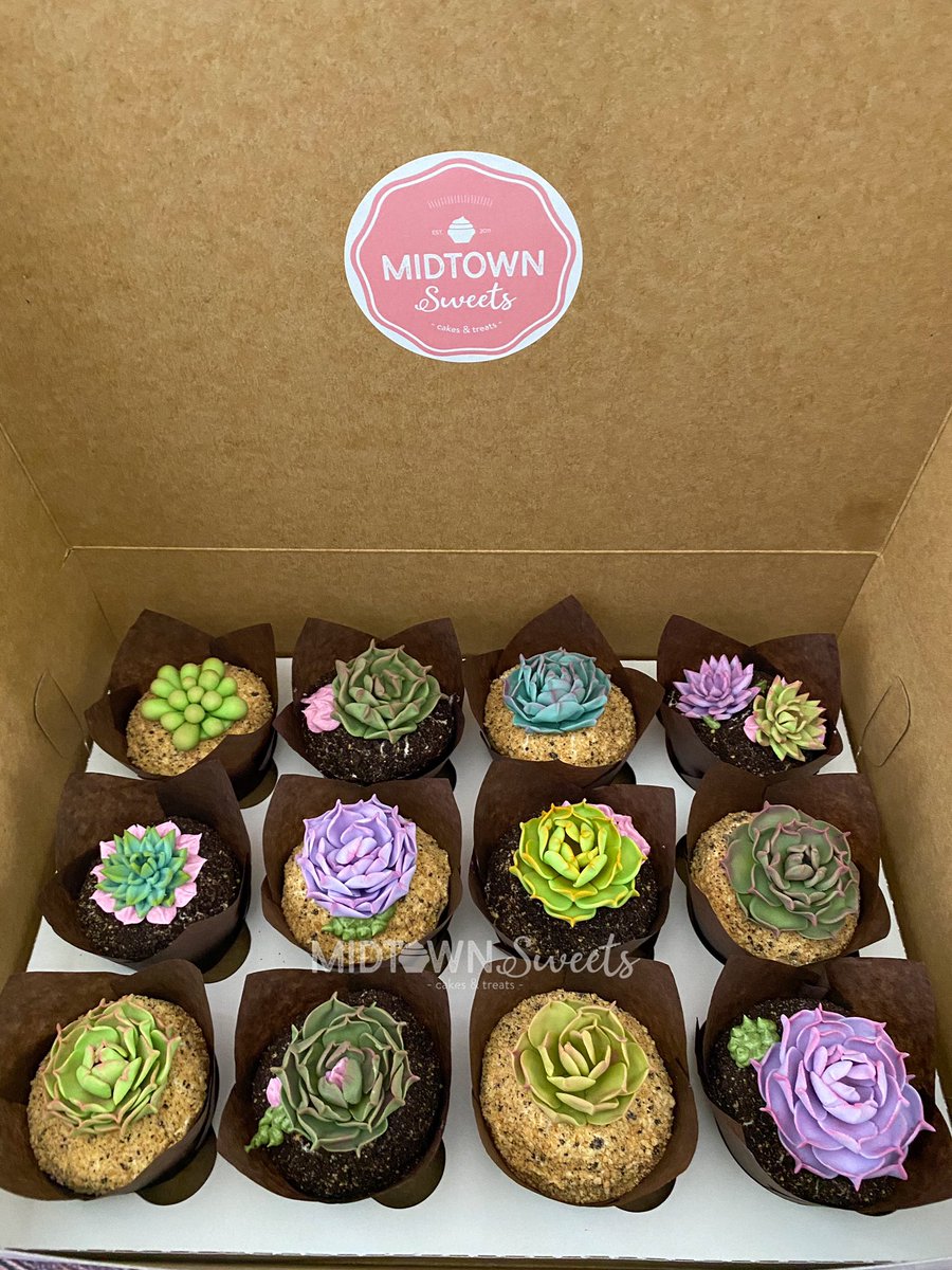 MidtownSweets's tweet photo. Succulent Cupcakes

#succulents #succulentcupcakes #succulentcake #plants #succulent #baking #cake #cakecakecake #chocolate #chocolatecake #cakecups #midtownsweets #bake #dessert #frosting #buttercream #cakedesign https://t.co/YvCu6CLPBc