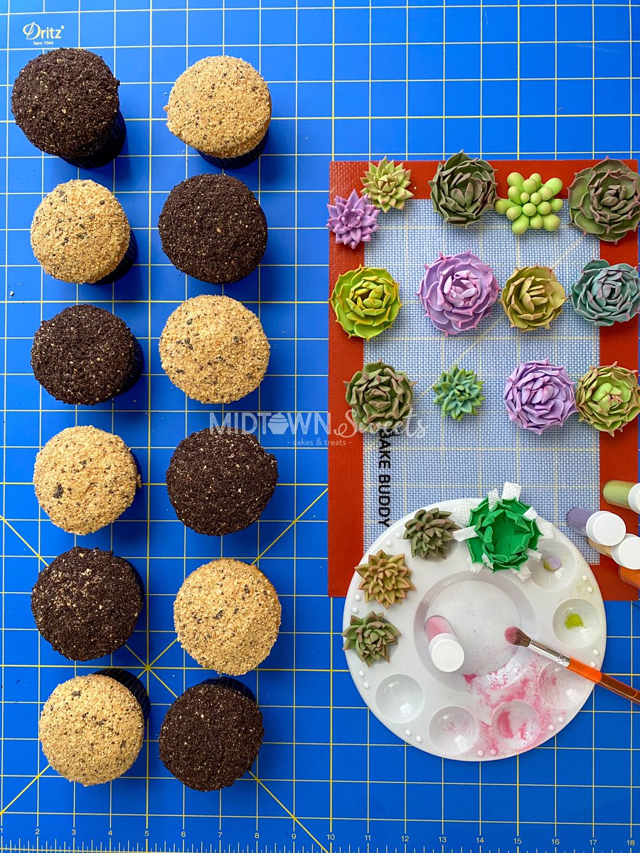 MidtownSweets's tweet photo. Succulent Cupcakes

#succulents #succulentcupcakes #succulentcake #plants #succulent #baking #cake #cakecakecake #chocolate #chocolatecake #cakecups #midtownsweets #bake #dessert #frosting #buttercream #cakedesign https://t.co/YvCu6CLPBc