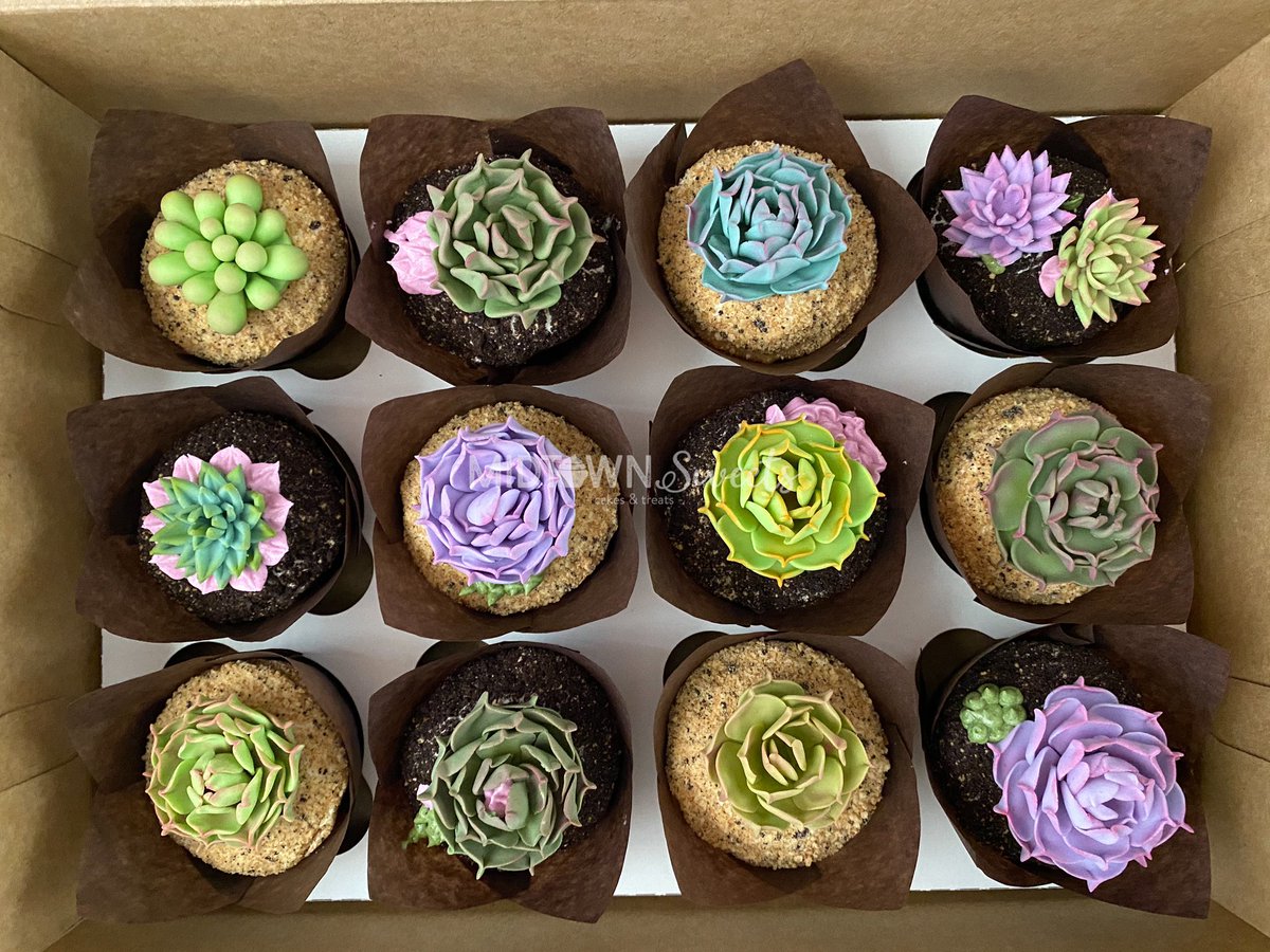 MidtownSweets's tweet photo. Succulent Cupcakes

#succulents #succulentcupcakes #succulentcake #plants #succulent #baking #cake #cakecakecake #chocolate #chocolatecake #cakecups #midtownsweets #bake #dessert #frosting #buttercream #cakedesign https://t.co/YvCu6CLPBc