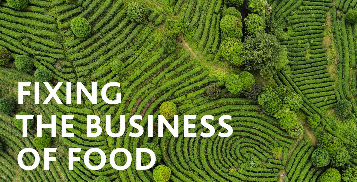 UNSDSN's tweet photo. The Fixing the Business of Food 2020 - How to align the agri-food sector with the #SDGs full report is out! The @BarillaCFN, SDSN, @CCSI_Columbia, and @SantachiaraLab launched the report in a webinar during #UNGA75. 
 
Read the full report here 👉https://t.co/cUpsEb1ObG https://t.co/aXbHzxhXQ2