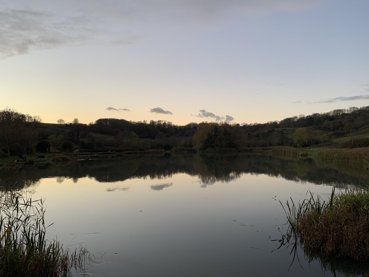 MissKMcD's tweet photo. @outdoorperscrip @bristolparks #StokeParkEstate looking stunning this evening #beautifulBristol #nicember #diarytoolkit #teacher5aday #nature https://t.co/RL9i8BbjaR