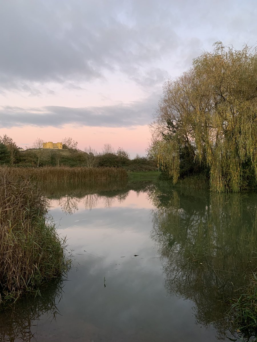 MissKMcD's tweet photo. @outdoorperscrip @bristolparks #StokeParkEstate looking stunning this evening #beautifulBristol #nicember #diarytoolkit #teacher5aday #nature https://t.co/RL9i8BbjaR