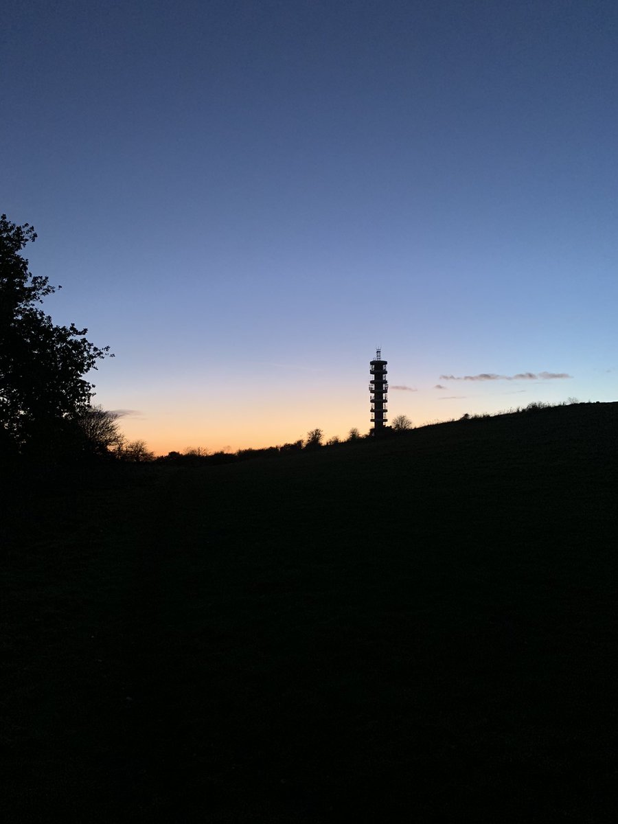 MissKMcD's tweet photo. @outdoorperscrip @bristolparks #StokeParkEstate looking stunning this evening #beautifulBristol #nicember #diarytoolkit #teacher5aday #nature https://t.co/RL9i8BbjaR