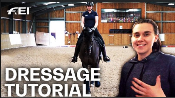 spiritpolo_jump's tweet photo. DRESSAGE TUTORIAL.π΄
How to ride a Dressage Test - with Olivia Towers & FEI judge Isobel Wessels.
In this video, Olivia Towers is going to show you how to ride a Dressage test.
https://t.co/GEb3GEbIkE
#Dressagetutorial #Tutorial #Dressage #Oliviatowers #FEI https://t.co/ipp8ZkPKc6