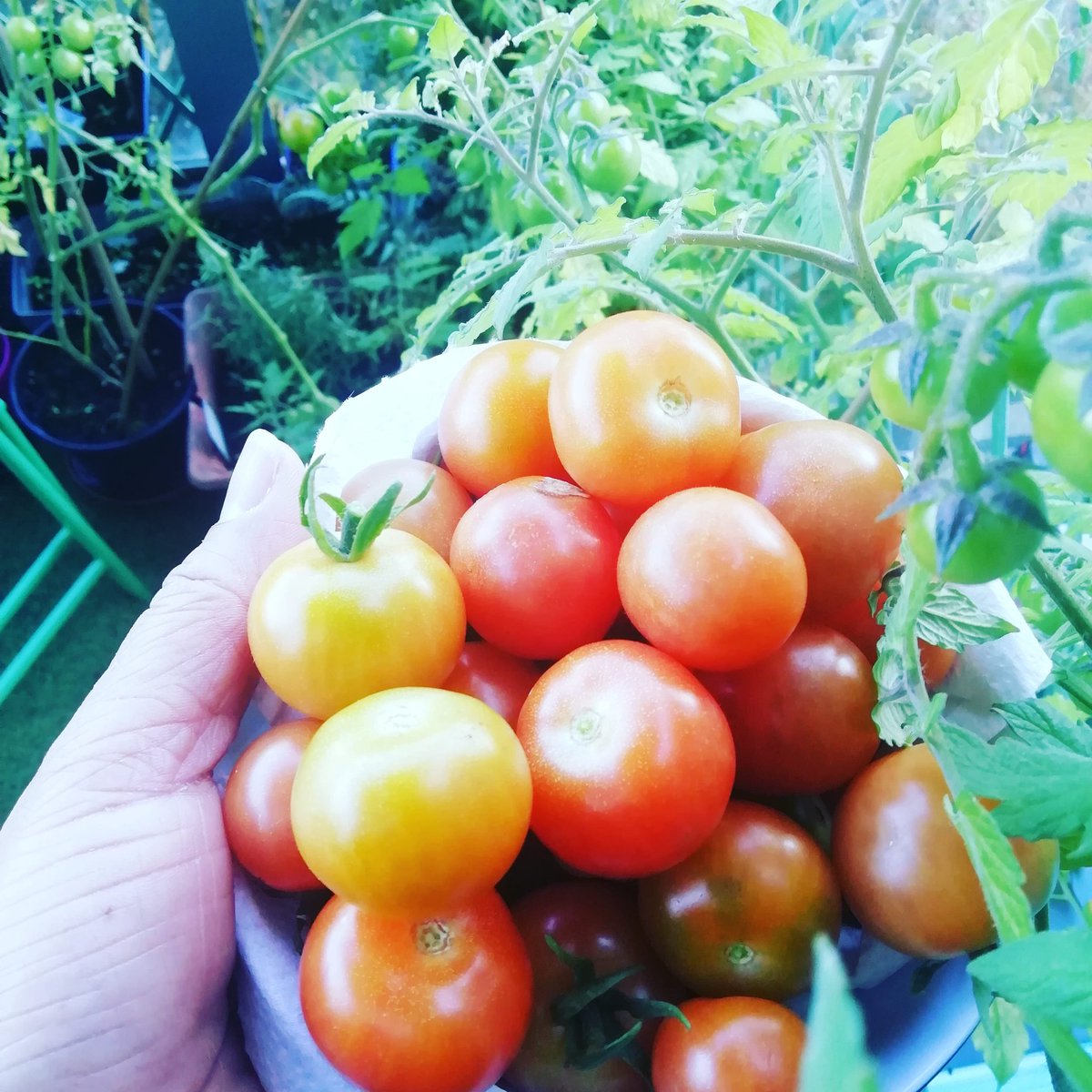 Vinn Goute tweet media