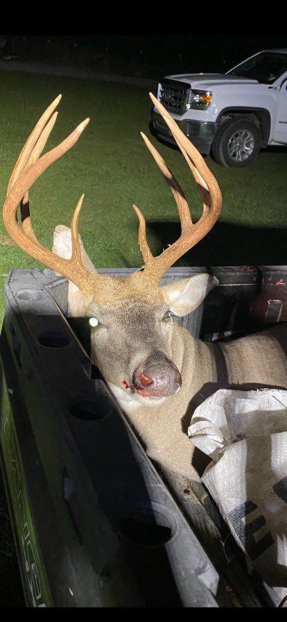 ProgenyAgronomy's tweet photo. In unrelated news... this pretty boy was killed on one of our ProGame food plots! #huntingseason #foodplots #progenyprogame https://t.co/cx5CsGvEqc