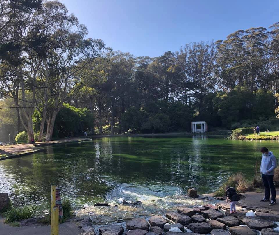 RecParkSF's tweet photo. Today may feel stressful. Parks are here to help! Try taking a walk, observing nature, or siting and meditating in one of our 220+ parks. If you can't get outside, tune into our page for some #ElectionDistraction posts! https://t.co/DRHaafMuS8