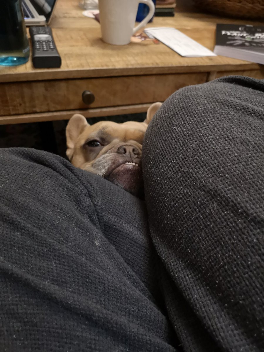 Someone's trying to get my attention.