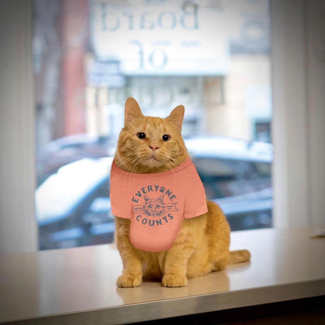 This adorable orange fluff hopes you voted yesterday! While we've all missed seeing Pumpkin when voting was in session you can still take a little piece of Athens home with our Pumpkin the Cat T-shirt!😻🧡

Shop Online: buff.ly/3p0Ixsa

#ohioishome #pumpkincatathens #vote