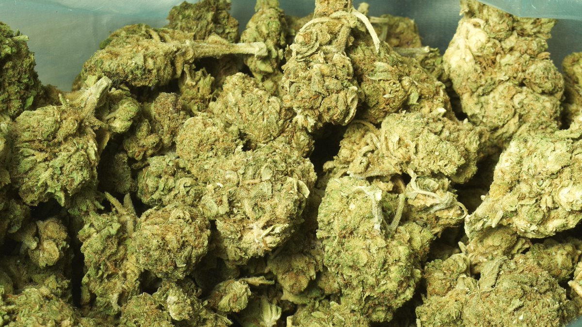 phytorite's tweet image. My old state - NewJersey - becomes the 12th state to legalize marijuana for recreational purposes. 
bit.ly/3la5tT6
#CBDforeveryone #Phytorite #CBDforhealth