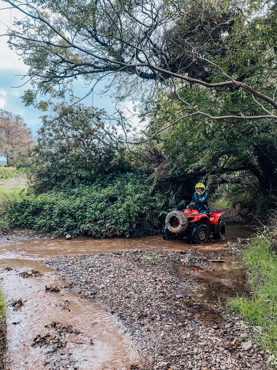 visitwexford's tweet photo. @QuadventureIRL is great fun &amp; one of the best quad biking facilities in Ireland 😎 Would you like to try it in the future? Or have you been already &amp; cannot wait to get back on the track once it is safe to do so? 😌

Plan ahead at https://t.co/caxUJVo0Pk 💜💛 #StayWithinYour5K https://t.co/Mfu4KJU8Km