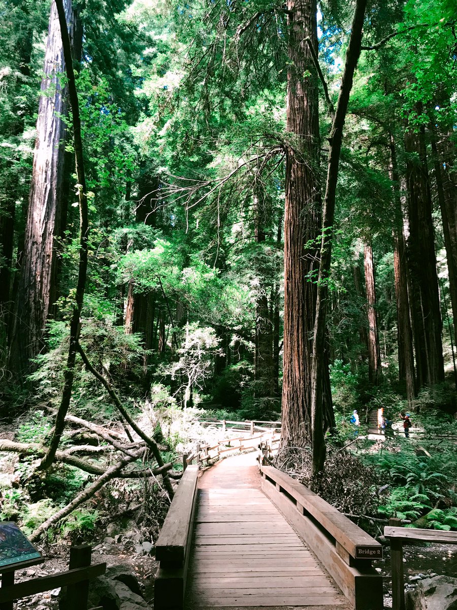 Vasooda's tweet photo. Patience is seeing the creator in the wound ~ Rumi 

Count👏🏾Every👏🏾Vote👏🏾 https://t.co/JrcF6AnTWo