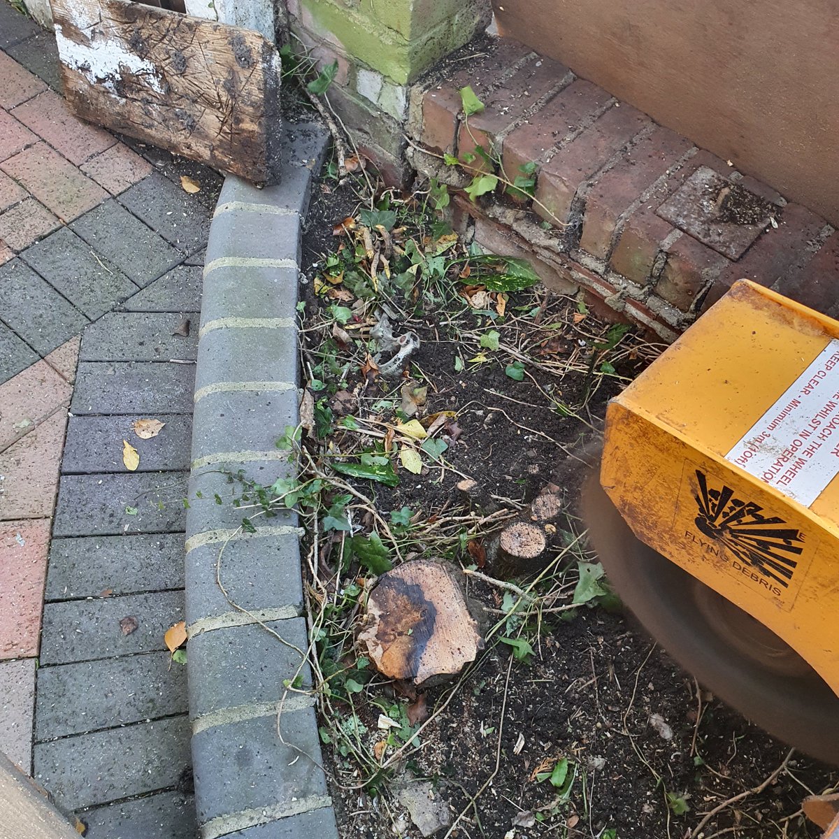 TreeGrinding's tweet photo. Tree stump grinding in Chelsworth, near Bildeston, Suffolk. Grinding a mixture of stumps in preparation for a new fence. We can grind any size tree stump. #Treestumpgrinding #treestumpremoval #Chelsworth #Bildeston #Suffolk https://t.co/uXsdB9dkfe