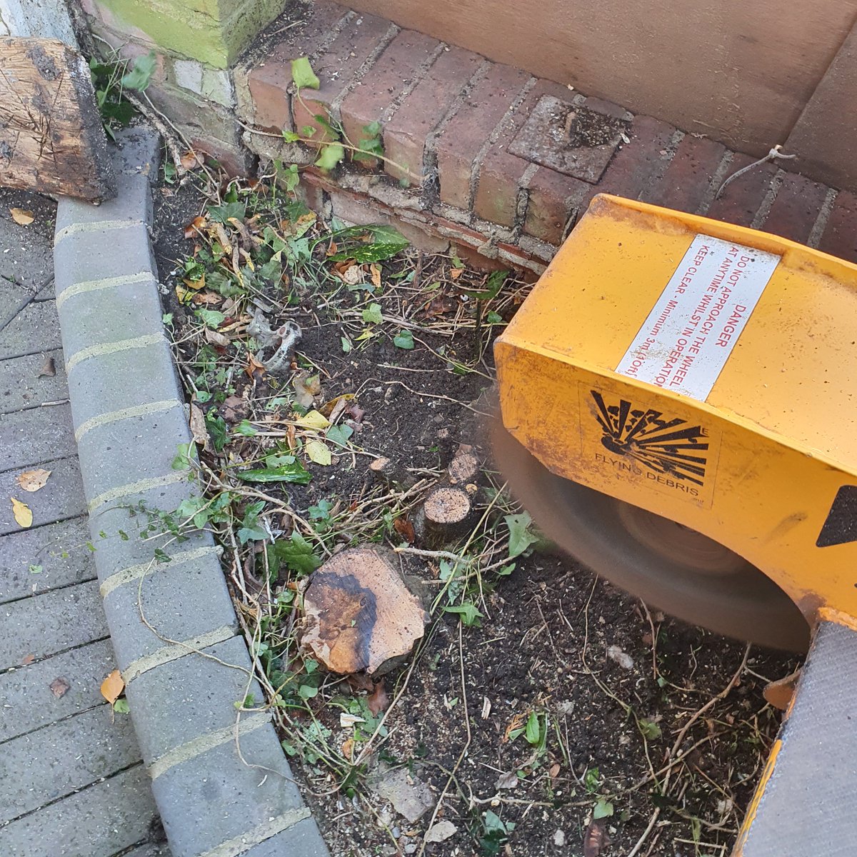 TreeGrinding's tweet photo. Tree stump grinding in Chelsworth, near Bildeston, Suffolk. Grinding a mixture of stumps in preparation for a new fence. We can grind any size tree stump. #Treestumpgrinding #treestumpremoval #Chelsworth #Bildeston #Suffolk https://t.co/uXsdB9dkfe