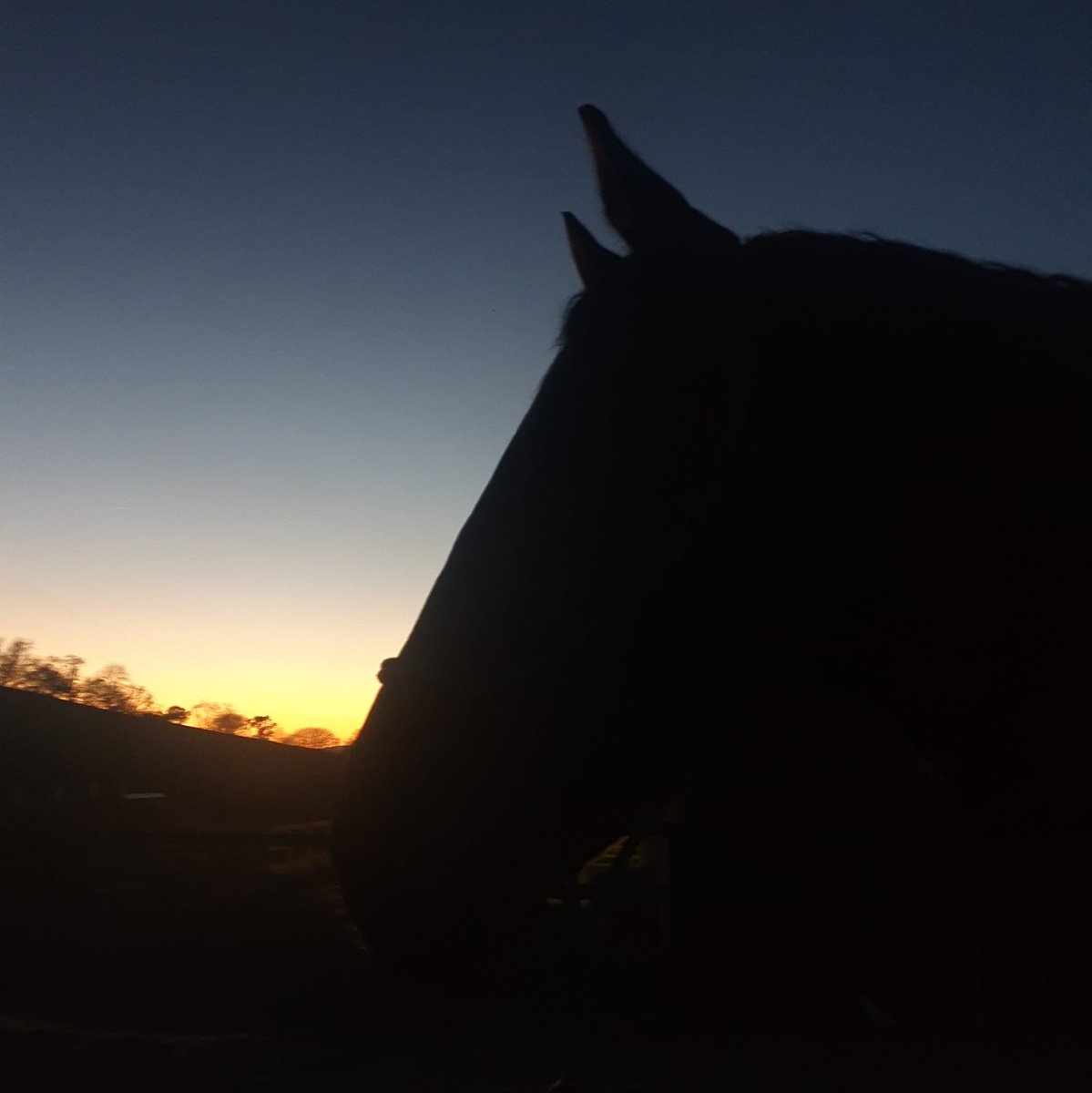 Alexa Palmer tweet media