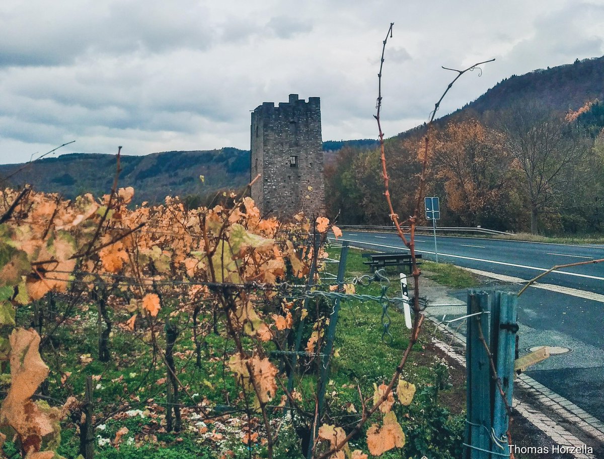 Thomas_Horzella's tweet photo. Der Lehmener Turm zwischen Ediger-Eller und Nehren, im Tal der Mosel.

#Autumn #Herbst #Herfst #autumncolors #Herbstfarben #Vineyards #EdigerEller #FerienlandCochem #VisitRlp #Rlperleben #Gastlandschaften #RheinlandPfalz #Germany https://t.co/AfvI6t5aUY
