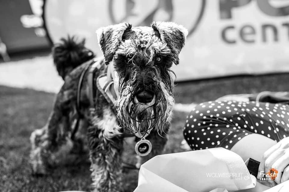 Ryno_Griesel (@ryno_griesel) on Twitter photo See you at Sunday’s #Freshtrails 5km/ 12km/ 17km race at <a href="/Wolwespruit_MTB/">Wolwespruit_MTB</a> (also includes a Doggie race for your best friend 🐶) Enter 👉🏻 quicket.co.za/events/118166-… See you at Sunday’s #Freshtrails 5km/ 12km/ 17km race at <a href="/Wolwespruit_MTB/">Wolwespruit_MTB</a> (also includes a Doggie race for your best friend 🐶) Enter 👉🏻 quicket.co.za/events/118166-…