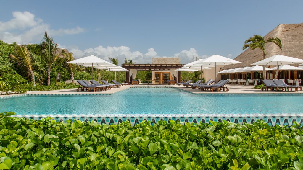 AdrVacations's tweet photo. Imagine the soft breeze through the palm fronds while you take a dip in that dream pool.
#chablemaroma  #rivieramaya #mexico #pool #vacation #dreamvacation #luxurytravel #travelgoals #wheretonext #classicvacations #bookwithanagent #travelagent #visitmexico https://t.co/WrhP9m1jri