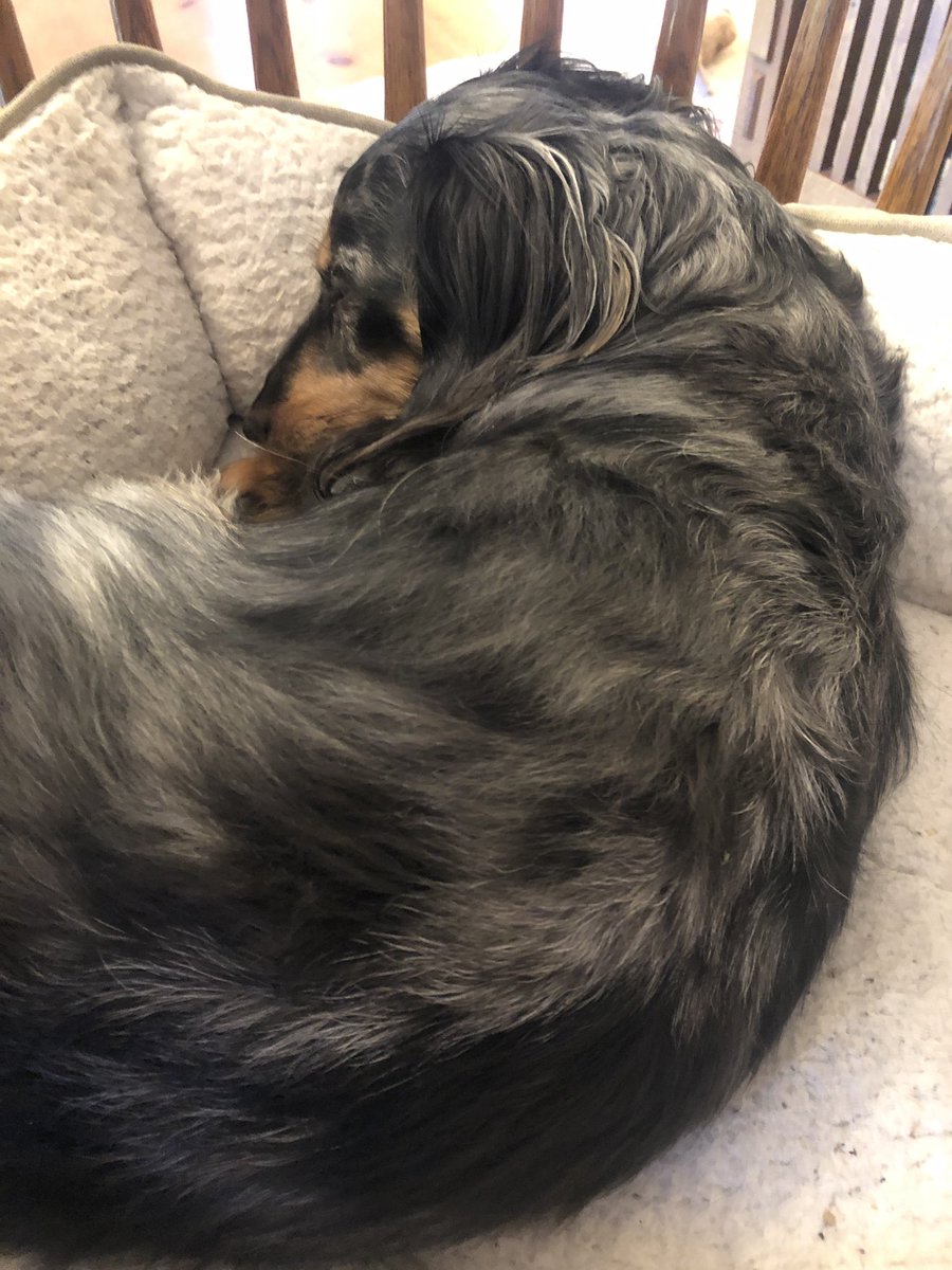 Julia Huettner-Pumar tweet media