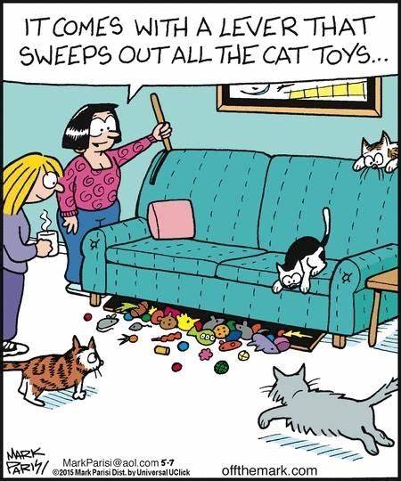 ColeTheBlackCat's tweet photo. How is this not a thing yet?! 🙂 https://t.co/GAgkqqquJu