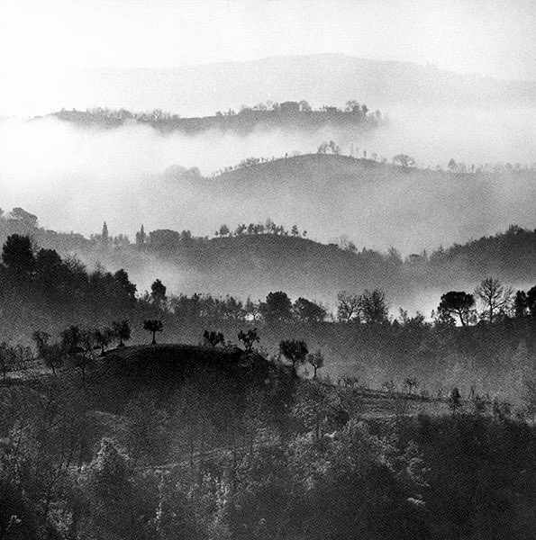 Così dolce la sera, così calma che il nero storno sul tetto raccoglie l’ultima luce del giorno nel becco, noi già presi nel buio delle foglie ... A. Bertolucci #PoesiaPerLaSera #VentagliDiParole Pepi Merisio, Crete senesi 1964