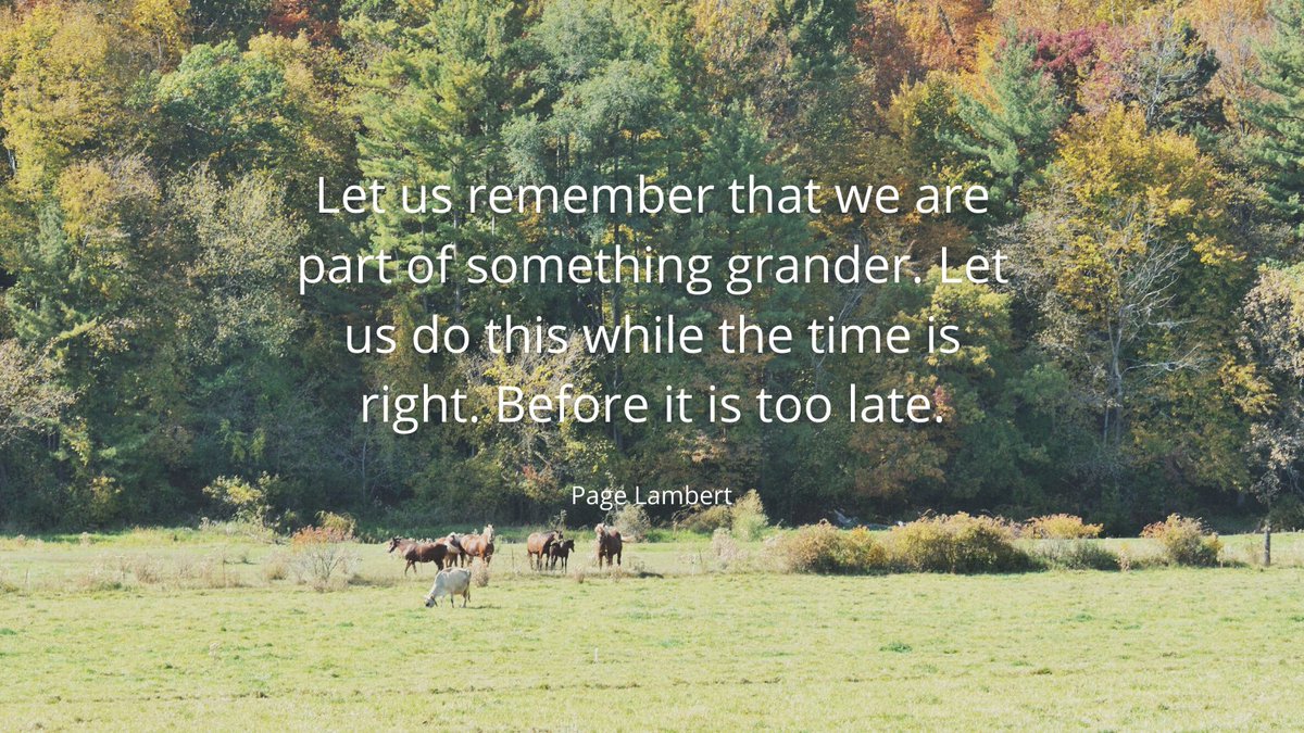 Kelly Wendorf tweet media