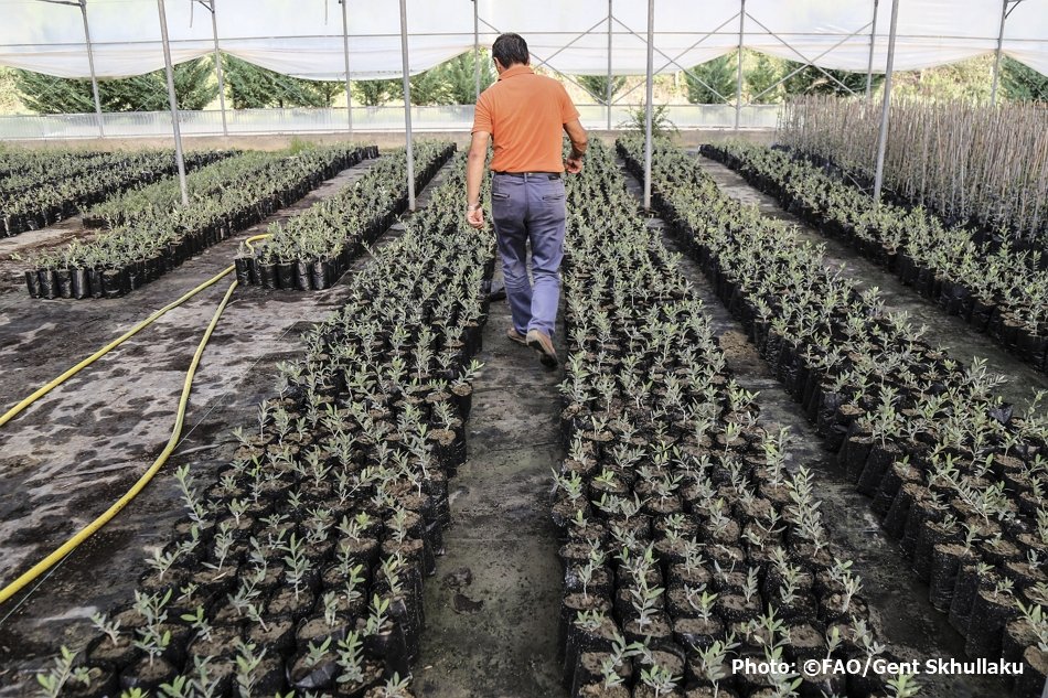 FAOnews's tweet photo. 🔵 As #ERC32 comes to a close, @FAO Member States from Europe & Central Asia reinforce their commitment to transform agri-food systems through innovation, digital technologies and sustainable practices.
👉https://t.co/9UoqJhcsjq https://t.co/r2484W9Zz1