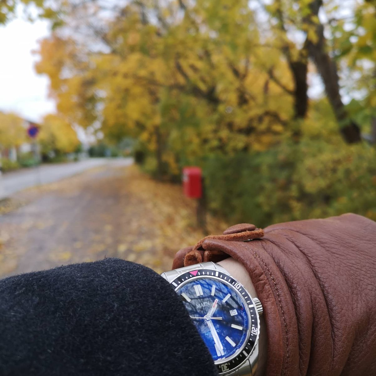 abcxyz_jp's tweet photo. まだ先週はこんなに葉っぱがあったのにもうだいぶ散っちゃったなぁ。🍂

#maswatches #maenhudson Mk III prototype #sauso #gloves #autumnvibes🍁 #Helsinki #紅葉 #手袋 #秋 #フィンランド https://t.co/3jGuwjOnmK