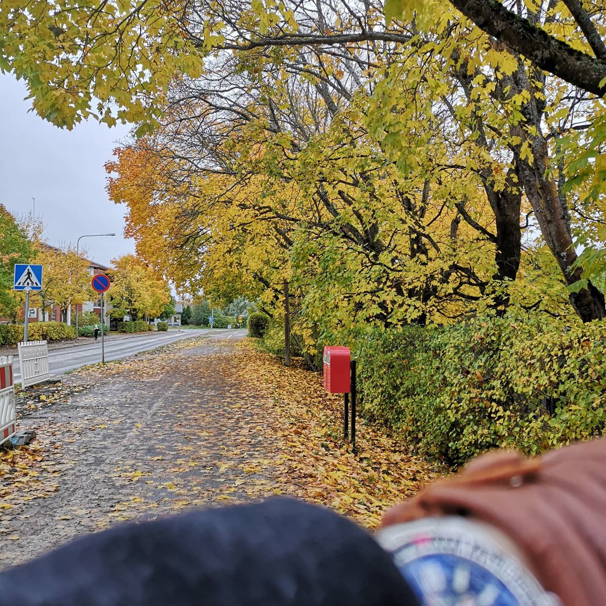 abcxyz_jp's tweet photo. まだ先週はこんなに葉っぱがあったのにもうだいぶ散っちゃったなぁ。🍂

#maswatches #maenhudson Mk III prototype #sauso #gloves #autumnvibes🍁 #Helsinki #紅葉 #手袋 #秋 #フィンランド https://t.co/3jGuwjOnmK