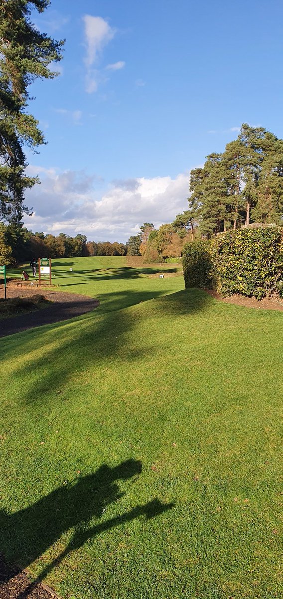 Finlaywoods's tweet photo. @liphookgolfclub Shall miss this walk 🚶‍♂️ https://t.co/XaKVbali9y