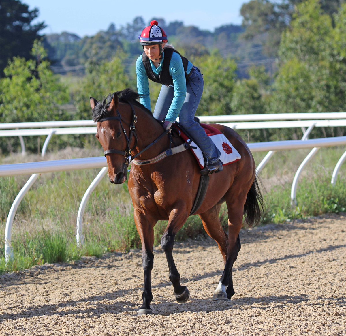 RTW888's tweet photo. The other favourite girl STEEL DIAMOND 💎looking spectacular at Waratah Thoroughbreds 😍🏇👊 An amazing place for thoroughbreds @RTW888 @sconebloodstock @cwallerracing  @LizzieJelfs @RickDanricLodge #WorthingtonRacing #SteelDiamond #waratahthoroughbreds https://t.co/RAtWjz5VWd
