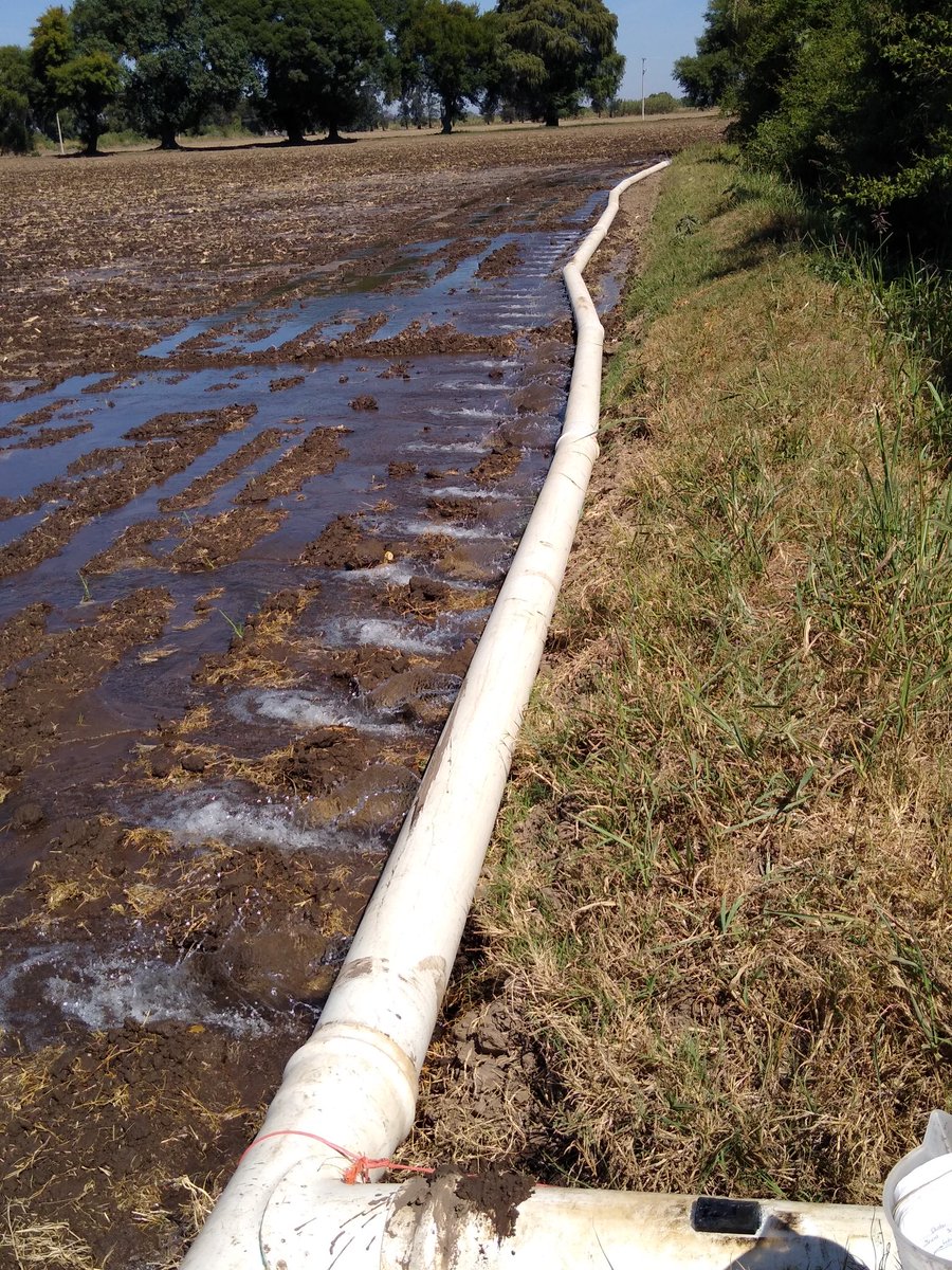 chelyds22's tweet photo. Es importante conocer el volúmen de agua que se aplica al momento de realizar el riego, por medio de un aforo, mismo que nos permite conocer la eficiencia de conducción, con el que cuenta el sistema. Por un uso eficiente del agua @MUAC_GTO @SDAyR_GTO https://t.co/zuS9LcrBHY