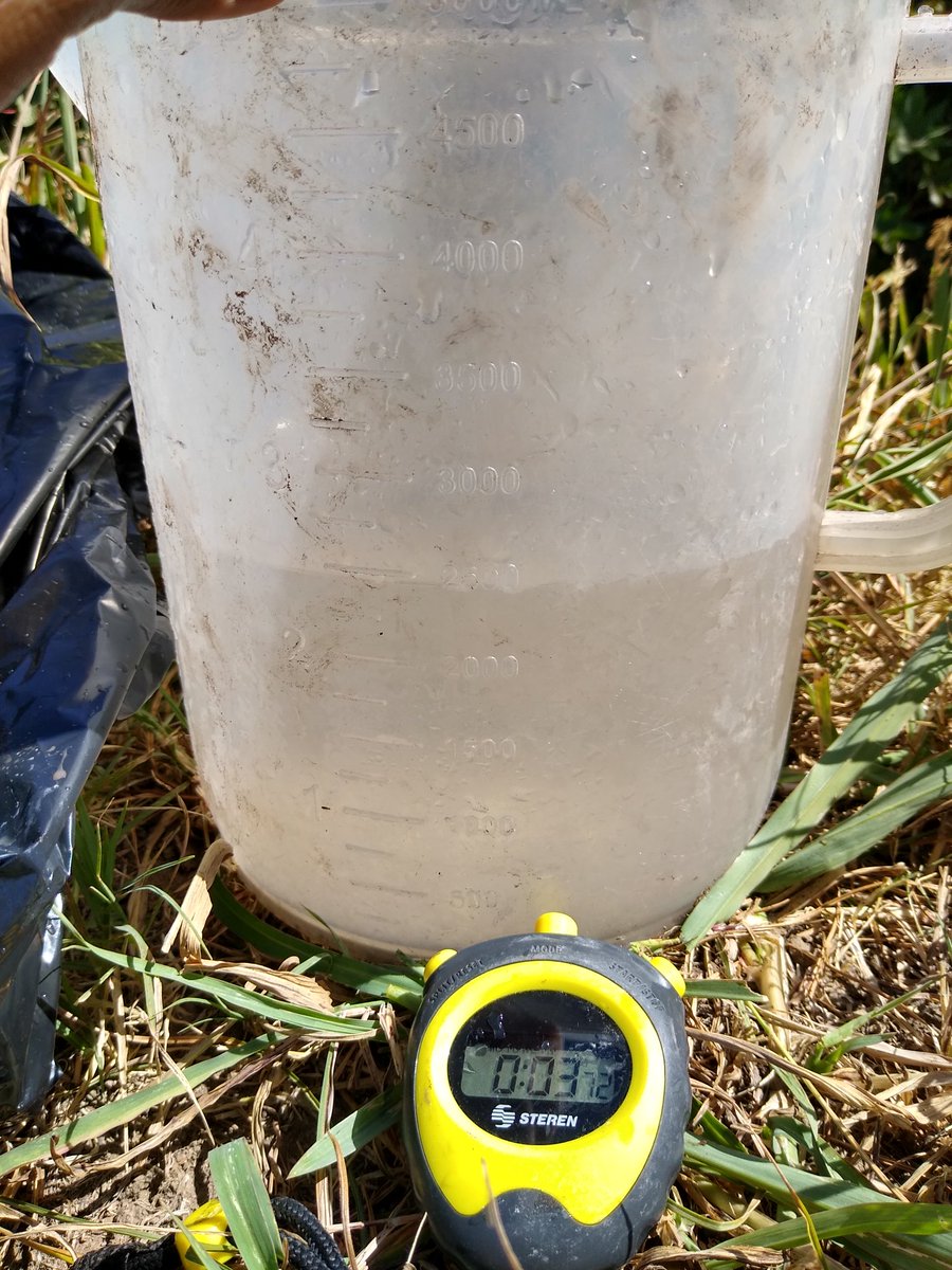 chelyds22's tweet photo. Es importante conocer el volúmen de agua que se aplica al momento de realizar el riego, por medio de un aforo, mismo que nos permite conocer la eficiencia de conducción, con el que cuenta el sistema. Por un uso eficiente del agua @MUAC_GTO @SDAyR_GTO https://t.co/zuS9LcrBHY