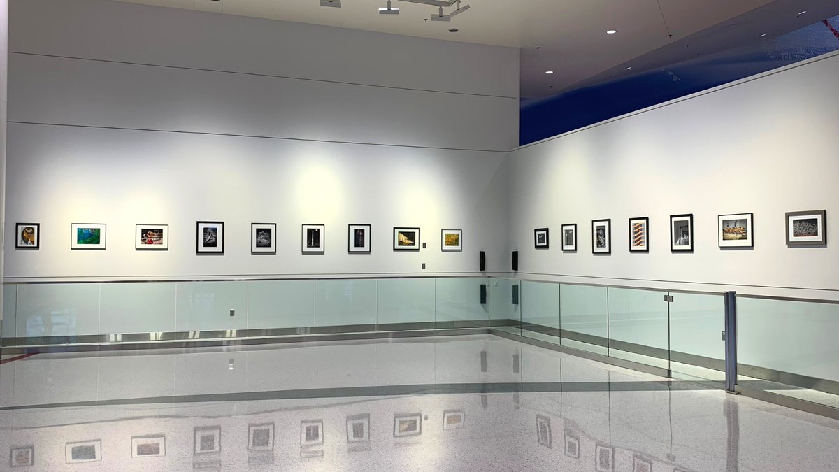 Photograph of Maryland Photography Alliance exhibit at D/E International Art Gallery.