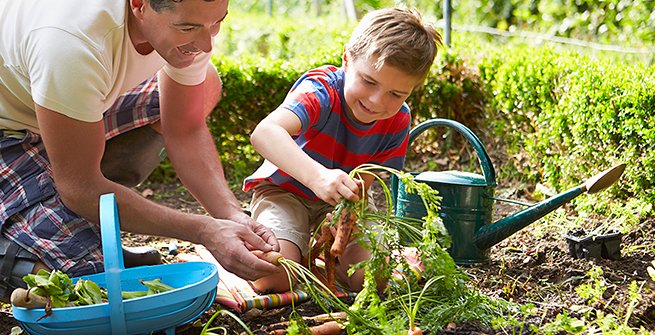 man and child gardening
