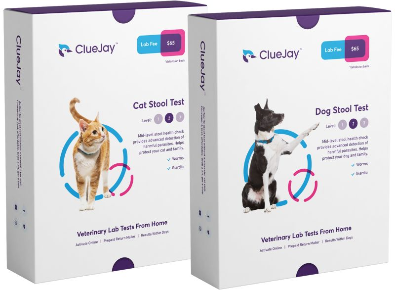 LeapVenture's tweet photo. #LeapBootcamp 2020 participant, Petventive Care, has started selling their first product! Teaming up with @ClueJayPetTest, they will now be selling at-home stool tests for your cat and dog. https://t.co/Of787VPpCm