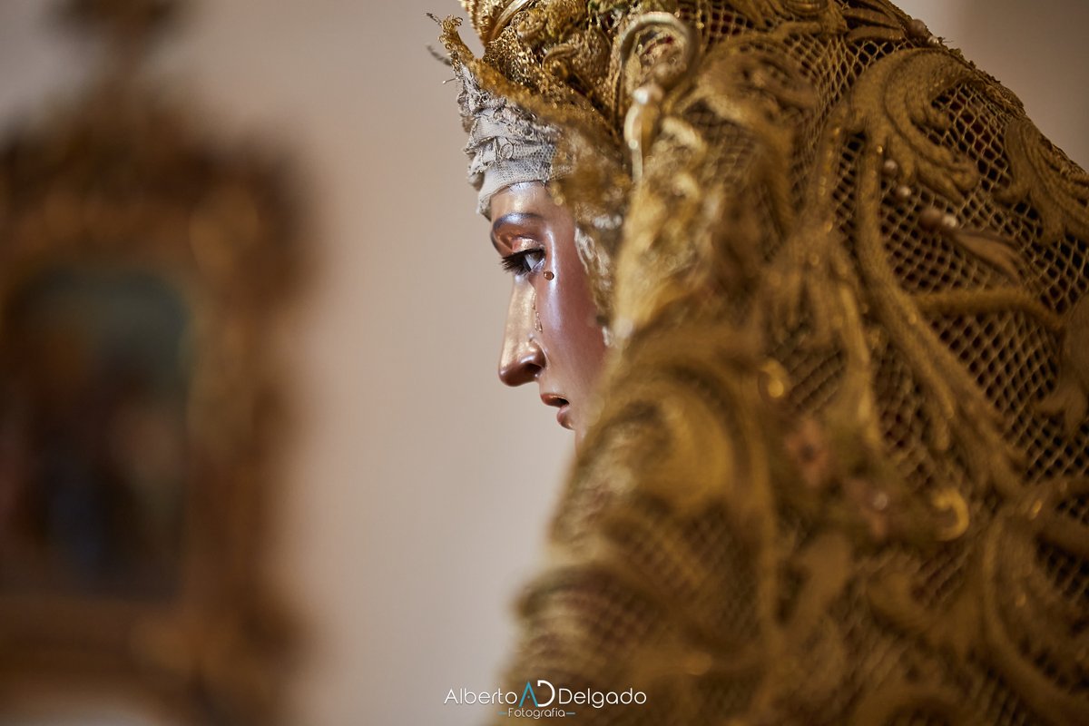 📸Galería de Imágenes de la Solemne Veneración a María Santísima del Valle Coronada

lamiradadepasion.blogspot.com/2020/11/solemn…