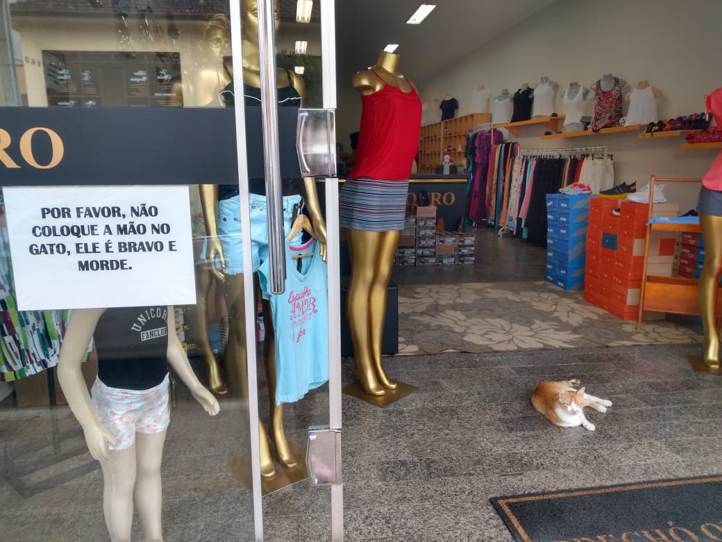 A PFV FALA Q VCS VIRAM ISSO AQUI EM OF USJSJSJSKJAJAJAJSHSHSJSKWKWJHAHSHSJS