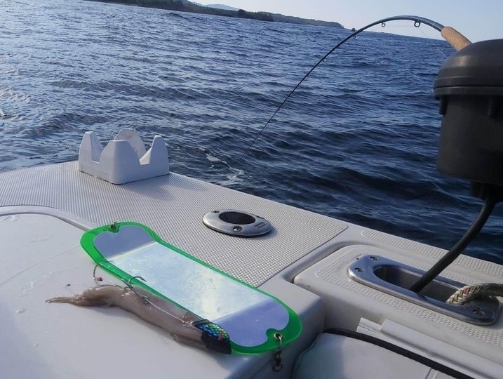 Just one of many go to's for our Prostaff @reelobsessionfishinglodge 
Shown here - a #Gibbs UV Herring Aid Teaser Head with a wired squid, paired with the Gibbs green STS Flasher - When the #chinook are feeding on #squid this combo produces.