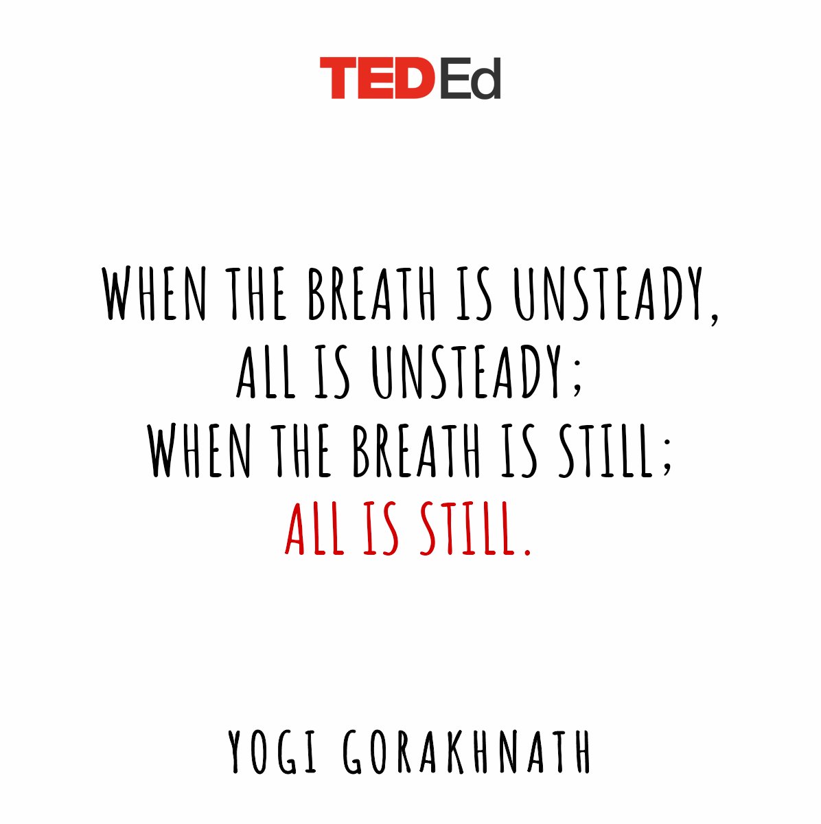 TED_ED's tweet photo. Consider this your reminder to take a few deep breaths 🌬️ https://t.co/79P5tPUWd1