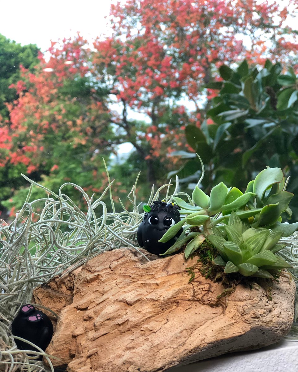 RusuShop's tweet photo. The official merchandise shop of @emberlab, currently brings the Kena family of characters to your doorstep. Rusu shop is home to the adorable Rot character that everyone loves. We invite you to make the journey with us as we expand our offerings. #rusushop #emberlab #findtherot https://t.co/WbwoNimRkg