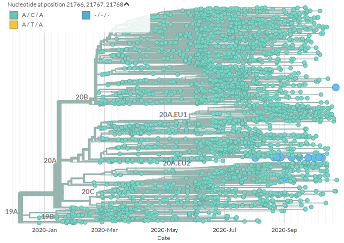 First, we'll look at the deletion. In the Neher Lab Europe build, we can color by the first 3 positions to identify sequences with the deletion (blue).We can see it a few places, but one distinct cluster, at the centre.4/21 https://nextstrain.org/groups/neherlab/ncov/europe?c=gt-nuc_21766,21767,21768&gmax=22722&gmin=20823