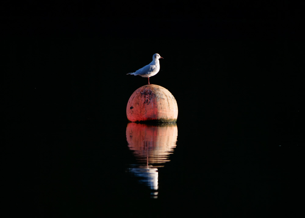 nationaltrust's tweet photo. A short time by the water can leave you in a buoyant mood. https://t.co/OpsnF78RV4