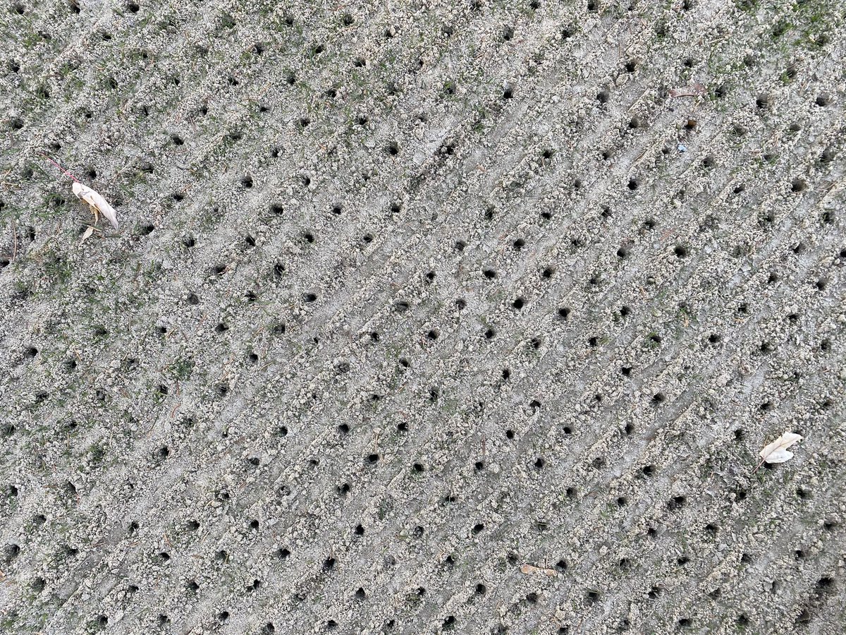 pgccgreens's tweet photo. A plethora of sand followed by a profusion of holes! #pgcc2020 https://t.co/XaN5rcb6pw