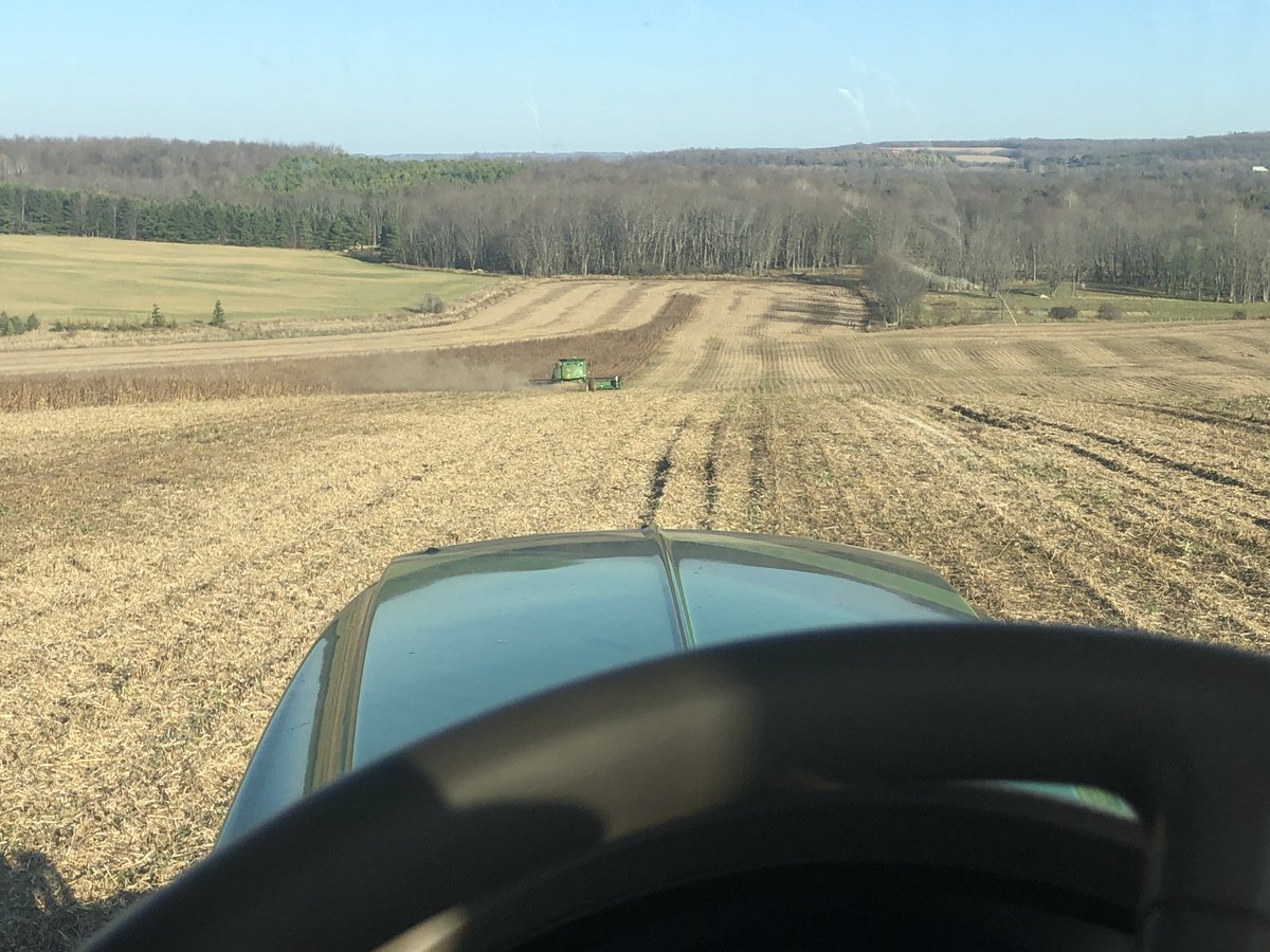 Finally getting some ideal conditions to get these beans off. #organic #soybeans in #meaford thanks to jack frost for nature’s ultimate burn down!