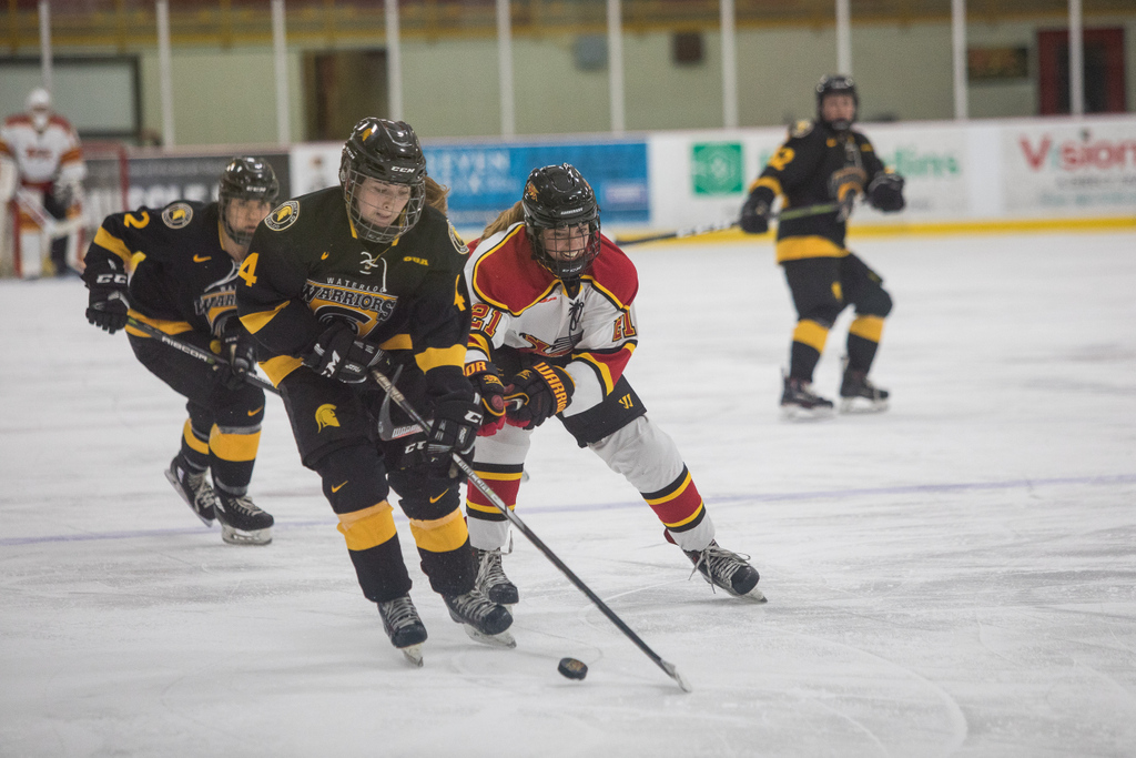 Guelph Gryphons tweet media