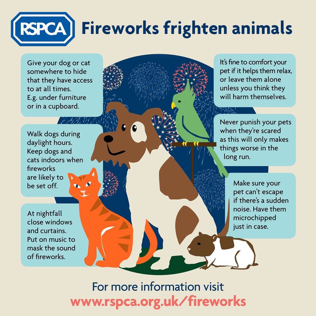 RSPCAStapeley Grange tweet media